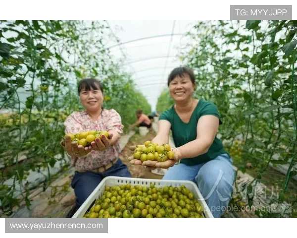 确保安全的ag捕鱼王2官方地址入口，防止假冒网站带来的风险与损失